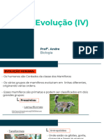 Biologia - Evolução (IV)