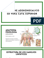 SD. ADENOMEGALICO Y SD. VENA CAVA SUPERIOR (Final)