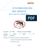 Proyecto - Prevencion Del Dengue Esc Prof. Evelio Melián
