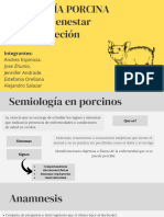 Semiologia Manejo de Porcinos