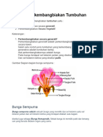 Cara Perkembangbiakan Tumbuhan