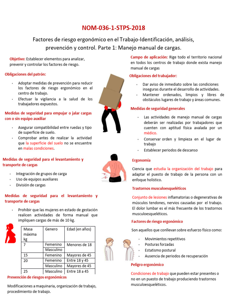 Nom 036 | PDF | Factores humanos y ergonomía | Especialidades Medicas