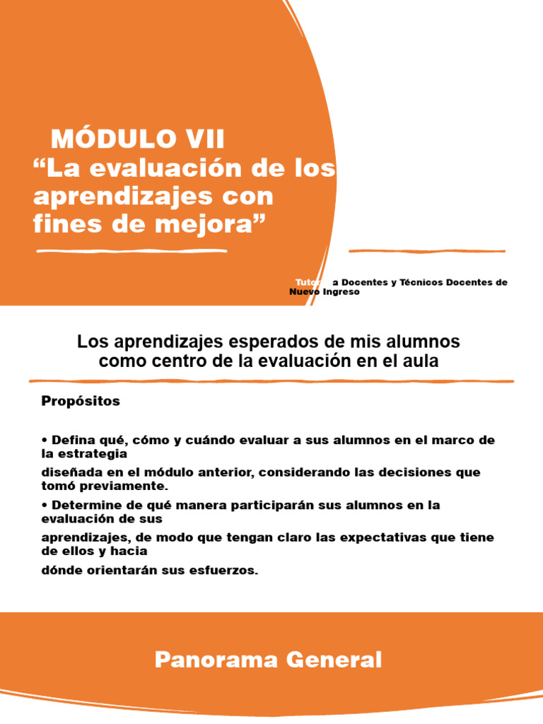 Evaluación Formativa para Docentes | PDF | Evaluación | Enseñando