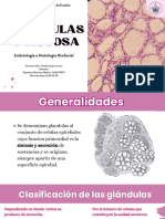 Glandulas y mucosa_Orofacial_12-00_12-59_MichelMH_202347070_compressed
