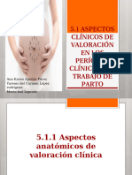 Aspectos Anatomicos de Valoracion Del Trabajo de Parto