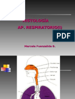 Aparato Respiratorio