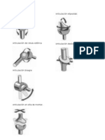 Articulacion Sinovial