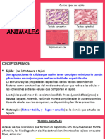 Tejidos Animales