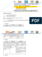 Informe Comision Gestion de Riesgos y Desastres