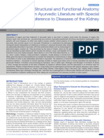 Review of Structural and Functional Anatomy of Kidney in Ayurvedic Literature 