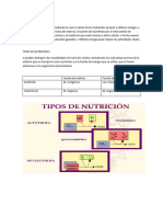 Concepto de Nutrición Imprimir