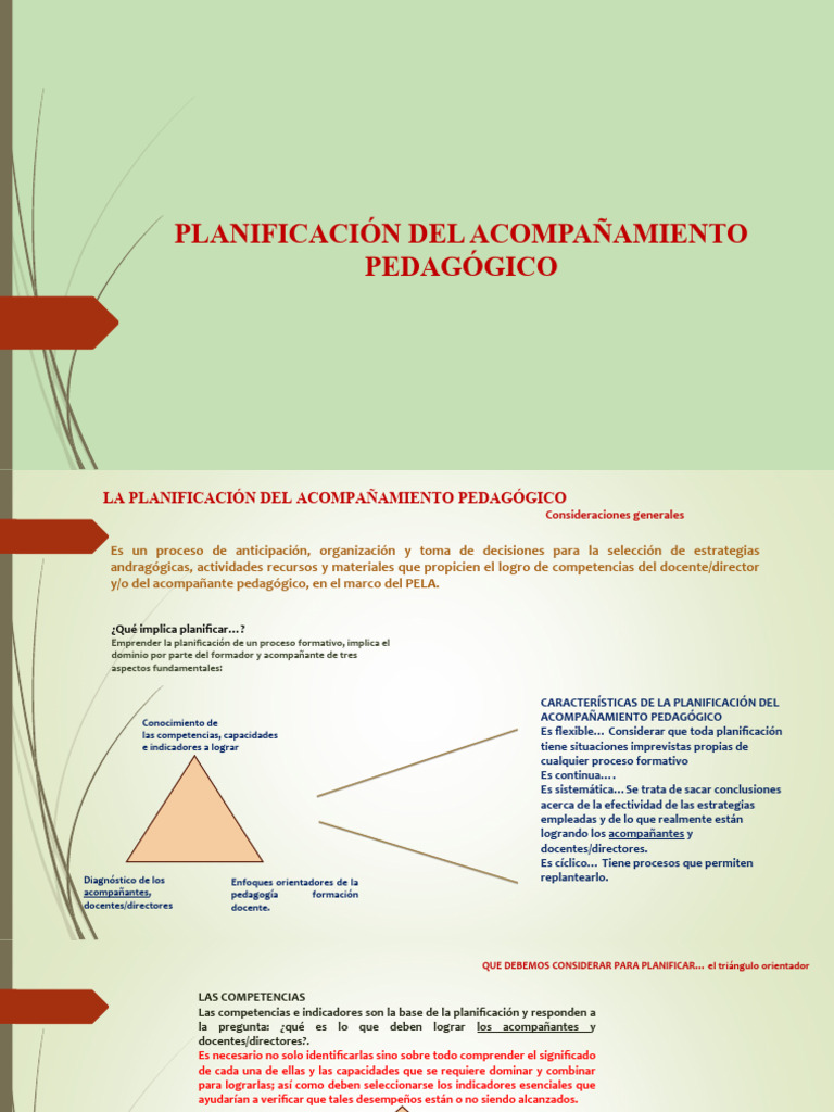 Plan de Acompañamiento Pedagogico | PDF | Planificación | Maestros