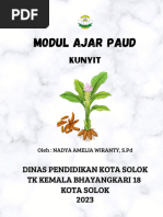 Contoh RPP Paud Merdeka Belajara | PDF