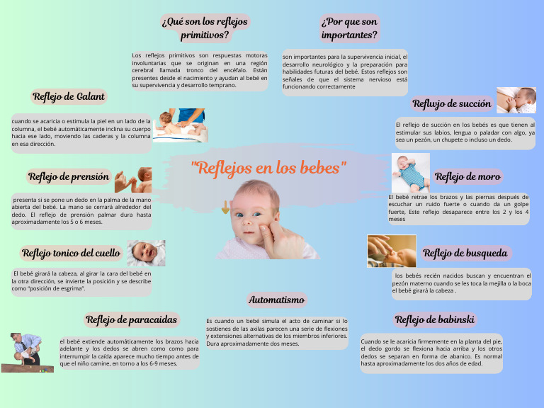 Reflejos en Los Bebes | PDF | Reflejos