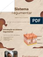 Sistema Tegumentar Correto