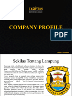 Company Profile To External