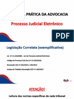 Iniciação À Prática Da Advocacia: Processo Judicial Eletrônico
