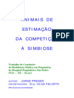 Animais de Estimação: Da Competição À Simbiose