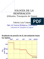 FisiologÍa de La RespiraciÓn