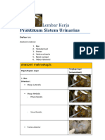 Qonita Nuha Ash Shafa - R3 - Lembar Kerja Praktikum Urinarius