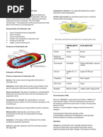 Prokaryotic Cell and Eukaryotic Cell