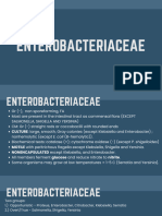 5+Enterobacteriaceae,+Non Enteric+Gi+Pathogen,+and+Non Fermentative+Gram Negative+Bacilli