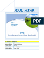 MODUL AJAR IPAS KLS 5 BAB 6 (Elena Mandasari)