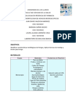 Informe 8 Biología