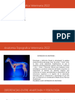 Anatomia Topografica Veterinaria 2022