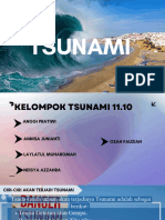 Tsunami 11.10