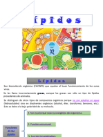 2.- Ciclo de Krebs (ALUMNOS )