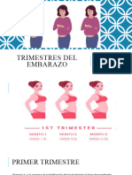 2.1 Trimestres Del Embarazo