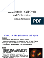 Kul Biokimia Homeostasis FK 2023