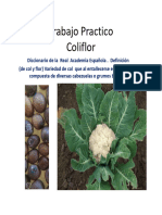 Trabajo Practico Cultivo COLIFLOR