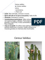 TP Cactus y Suculentas Marcelo Gomez