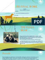 Endangered The Bear Pandas