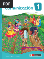 Plan de Estudios Primaria 2025 Minedu | PDF