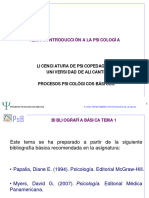 Procesos Psicologicos Basicos Tema 1 Int