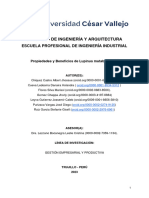 ENSAYO+FINAL-+PROCESOS