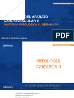 Anatomia Patologica Ii - Sem-04 - Sesión-04 - 2024-1
