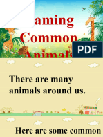 Pet Farm Wild Animals