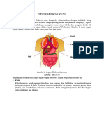 MATERI SISTEM EKSKRESI