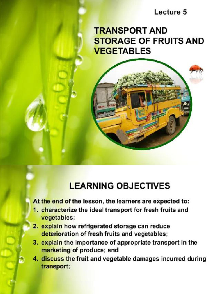 Lecture 5 Transport and Storage of Fruits and Vegetables PDF