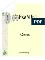 5.cereal Rice Milling