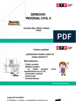 S02 - Requisitos de La Solicitud de Medica Cautelar y Presupuestos Procesales