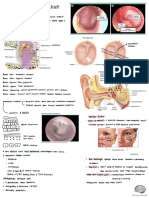 Otitis Media Akut Thalamustudy