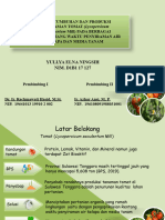 Proposal Presentase Ppt d1b117127 Yullya Elna Ningsih_2