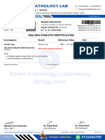Positive Malaria Parasite Identification Test Report Format Example Sample Template Drlogy Lab Report