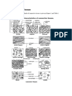 Connective Tissue