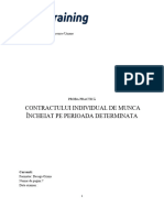 Ionescu - Cristina - Cim Pe Perioada Determinata